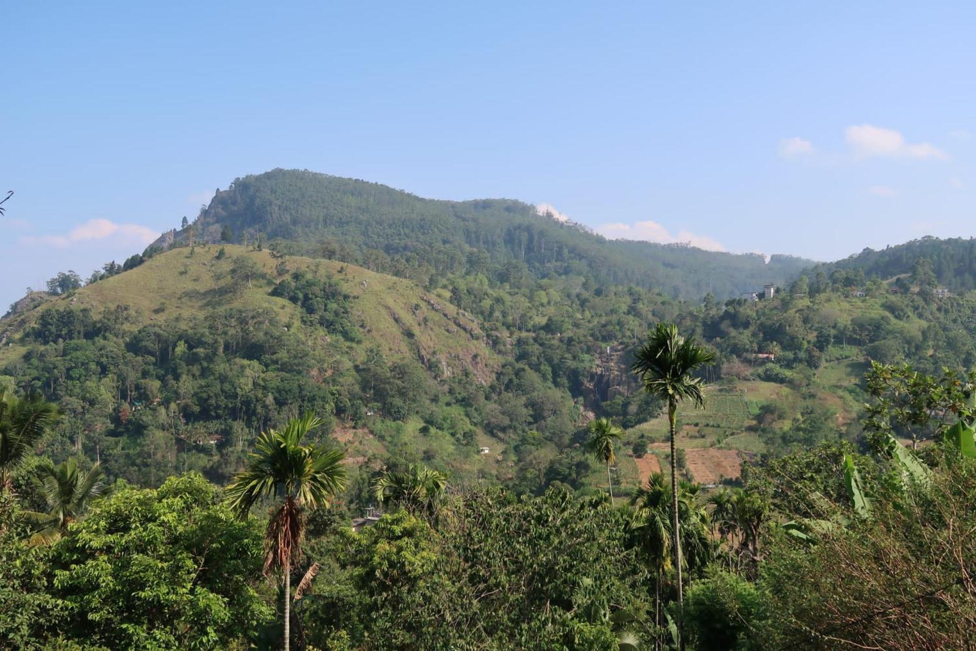 Ella Elysium Escapes Villa Phòng bức ảnh